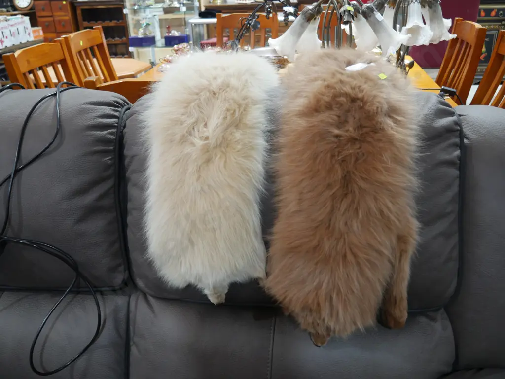 2 fox furs Image 1++