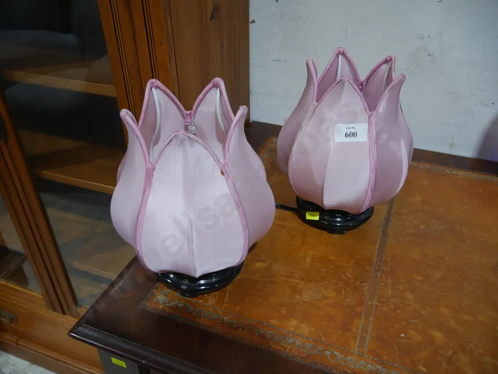 Pair of lamps Image 1++