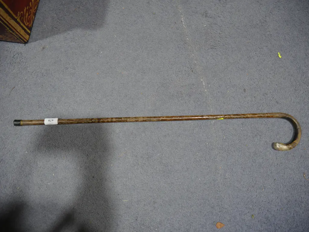 Walking stick Image 1++