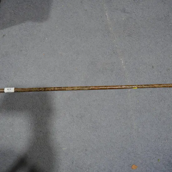 Walking stick