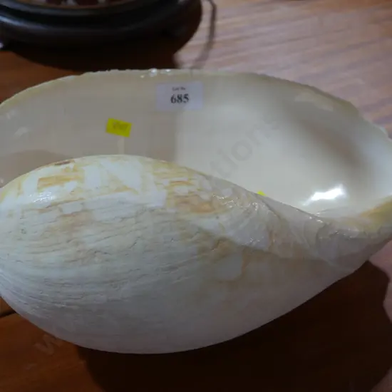 Large shell