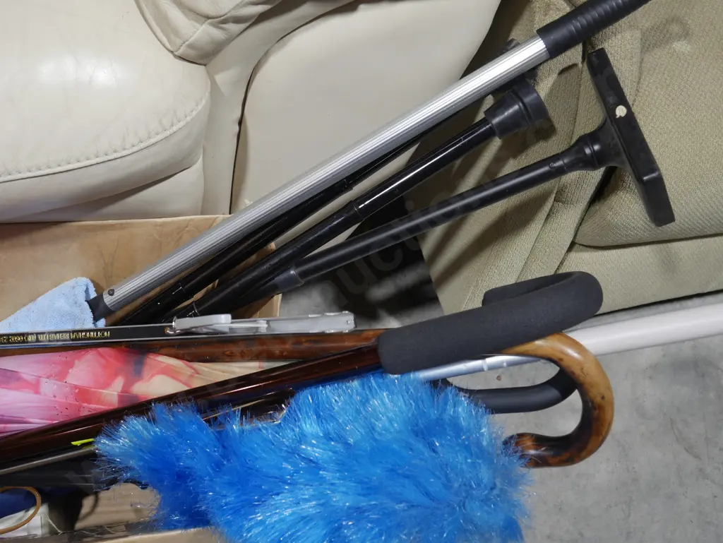 Walking sticks etc Image 1++