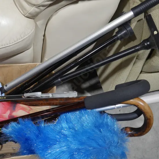 Walking sticks etc