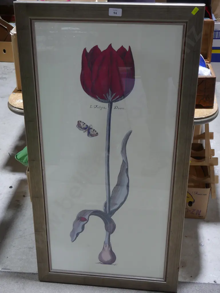 Tulip artwork Image 1++