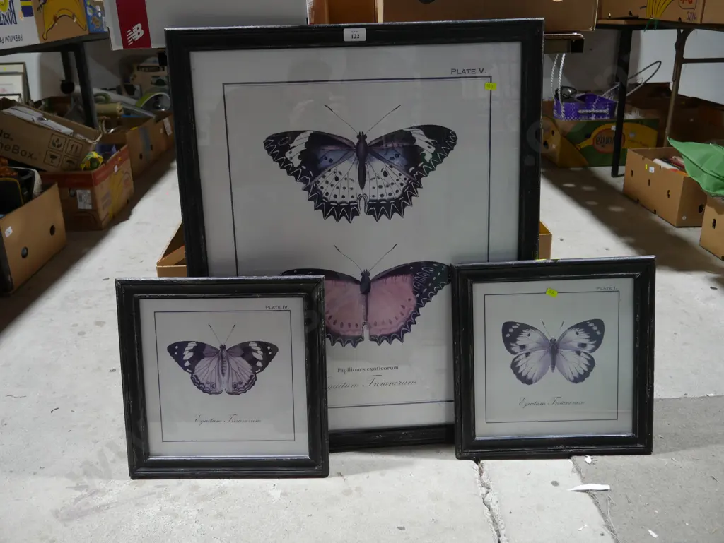 Assorted butterfly artworks Image 1++