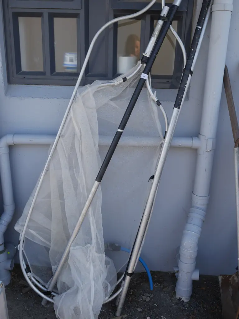 Whitebait net Image 1++