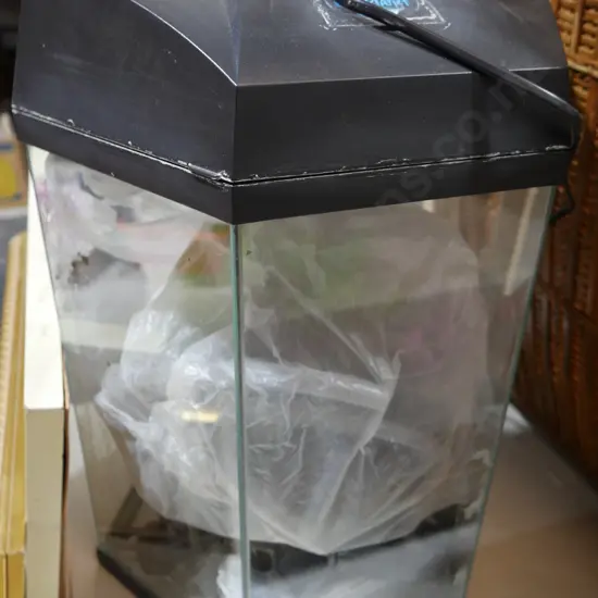 Fish tank