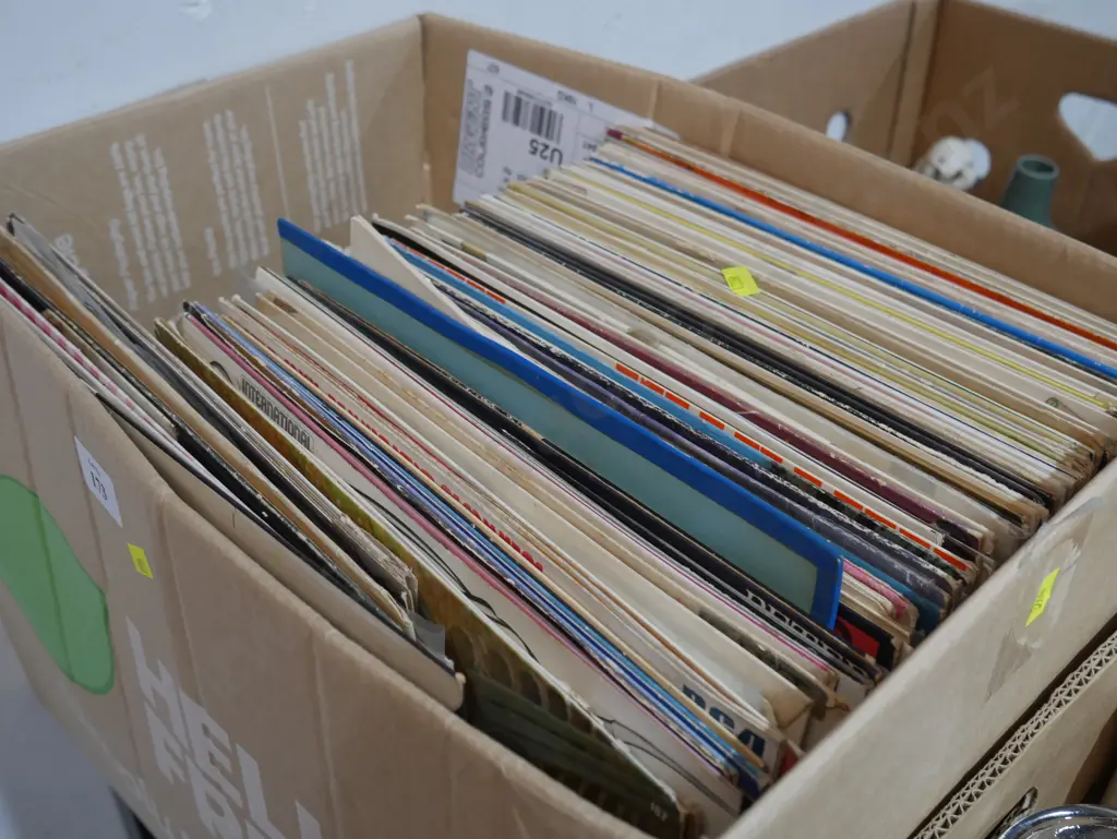 Records Image 1++