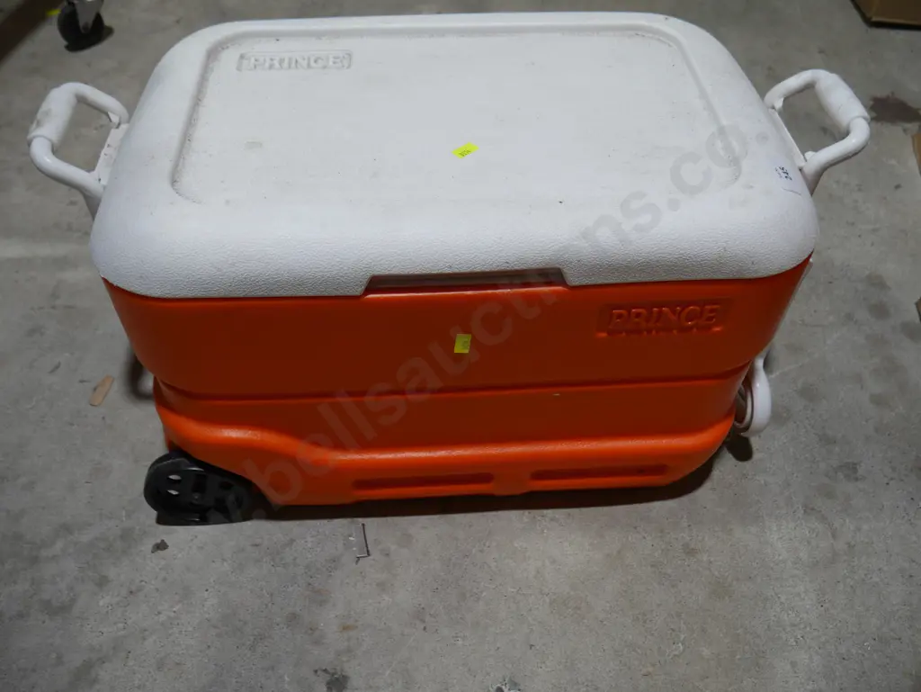 Chilly bin Image 1++