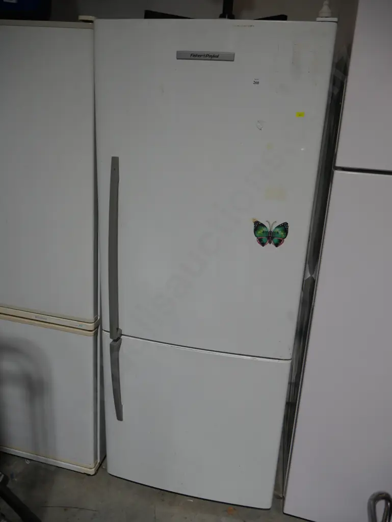 Fridge freezer Image 1++