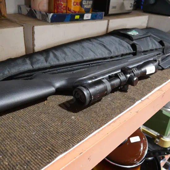 Gamo air rifle