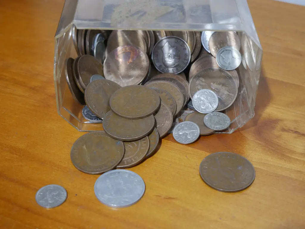Coins Image 1++
