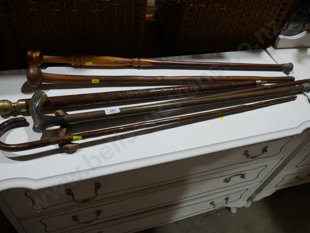 6 walking sticks Image 1++