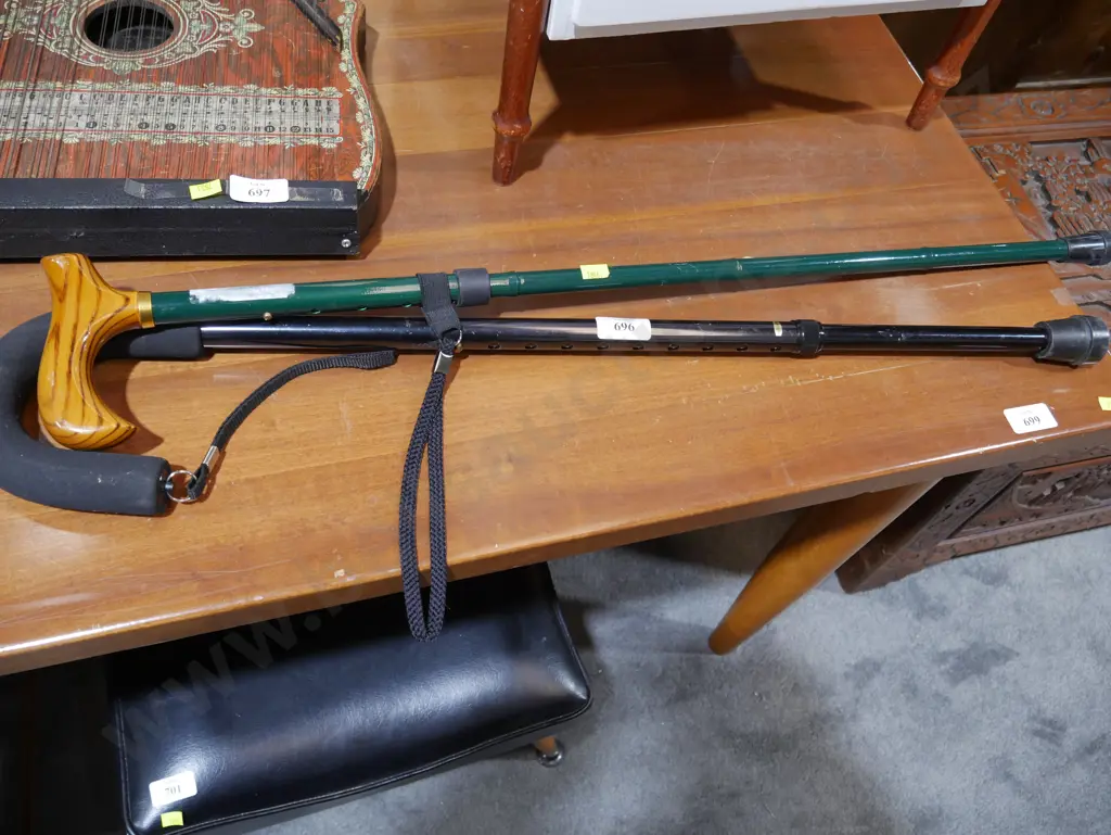 2 walking sticks Image 1++