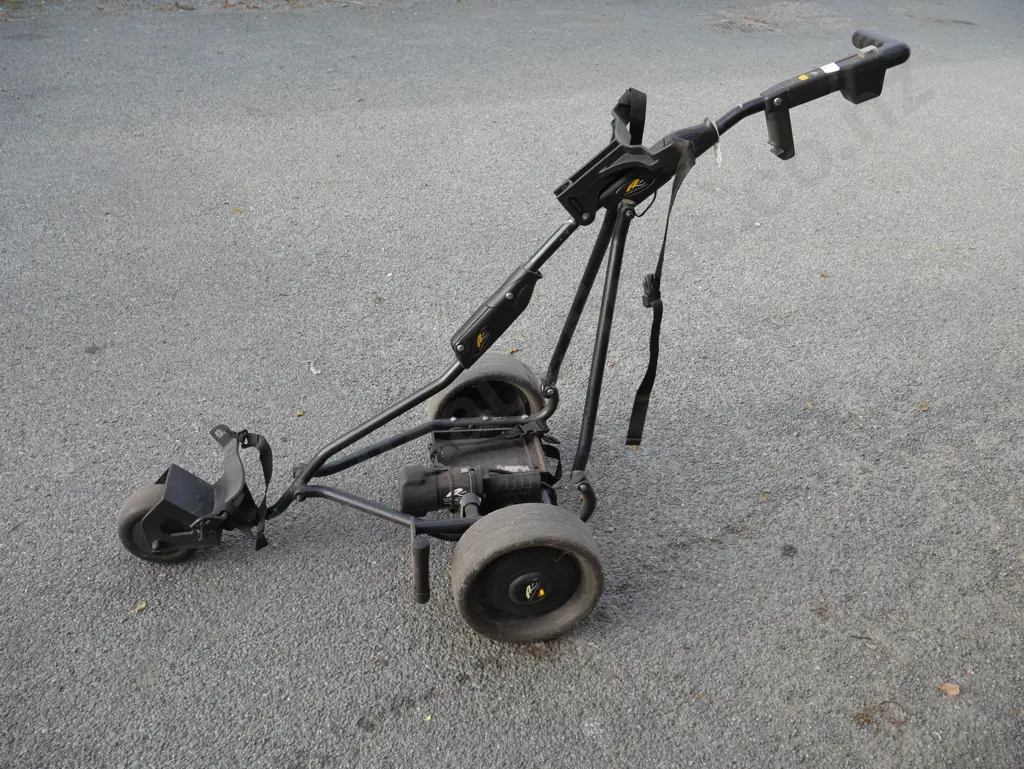 Electric golf trundler Image 1++