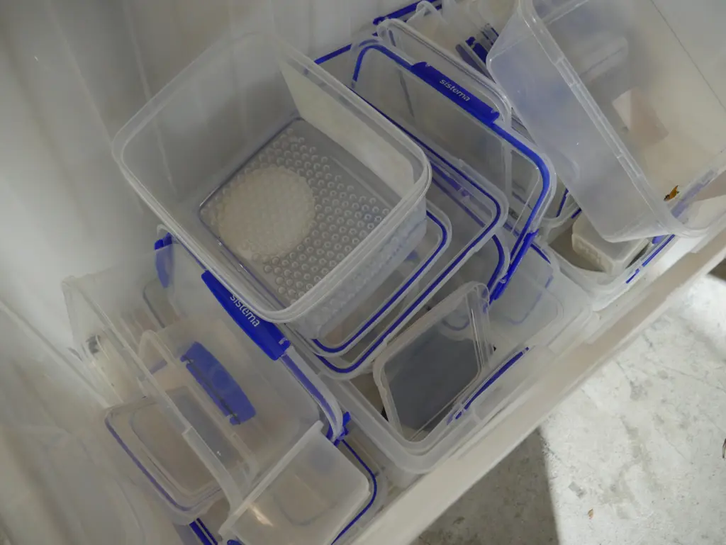 Sistema containers Image 1++