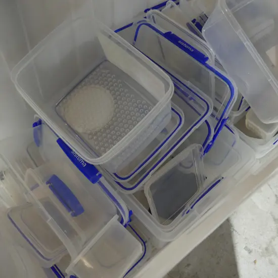 Sistema containers