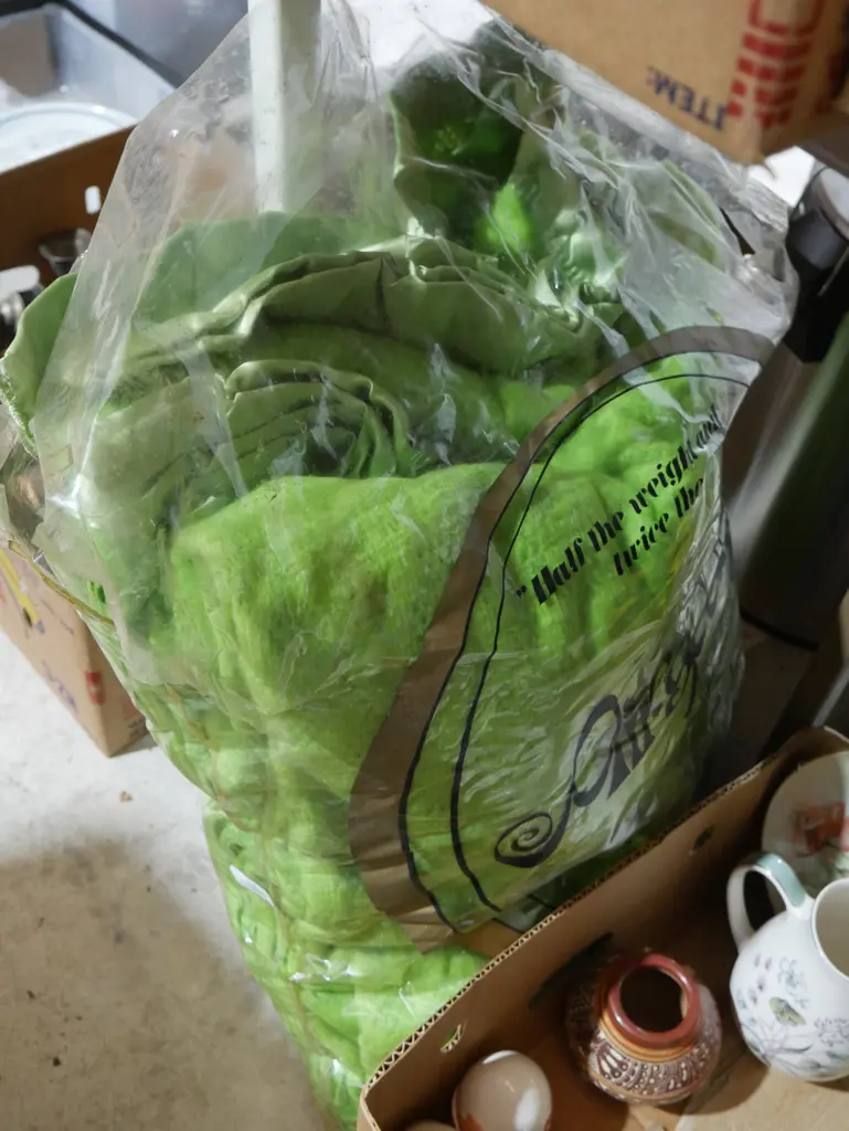 Green blanket Image 1++