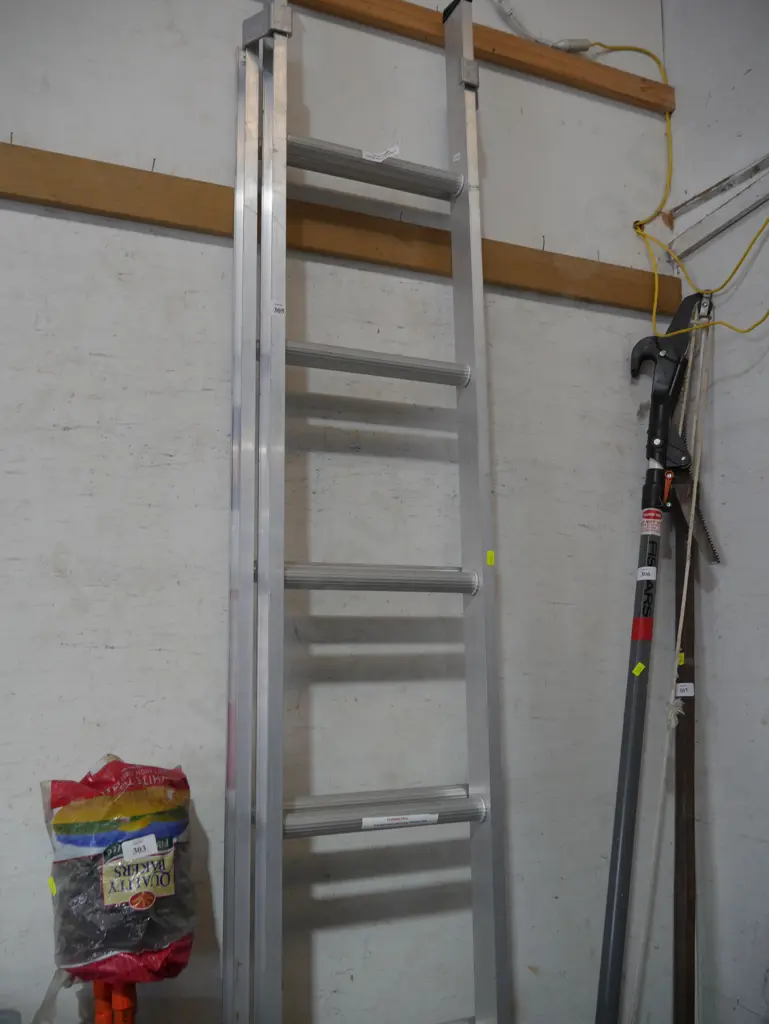 Extension ladder Image 1++