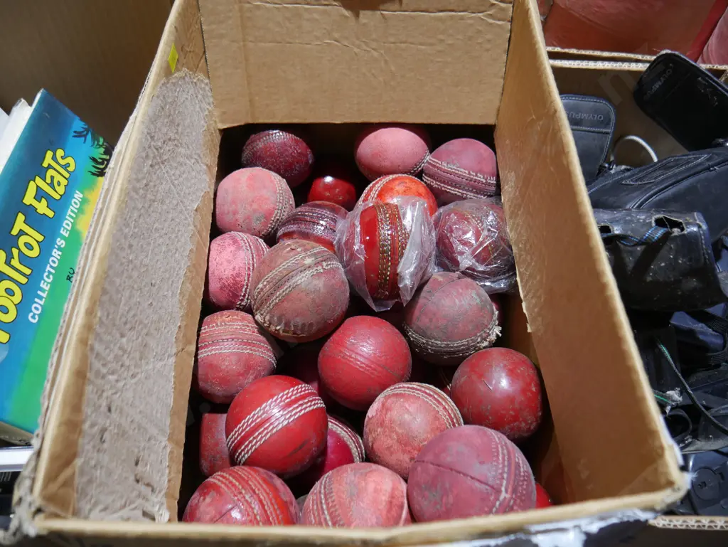 Cricket balls Image 1++