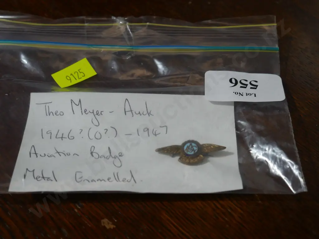 Metal Aviation badge Image 1++