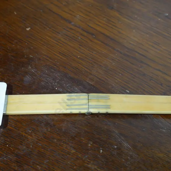 1 foot ivory rule