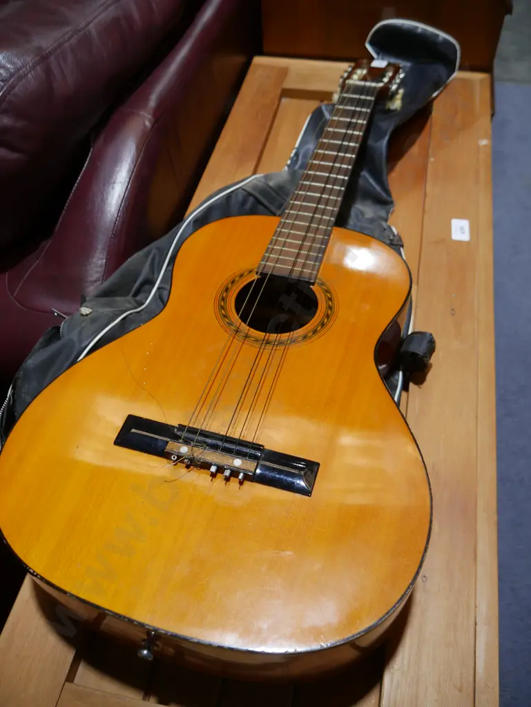 Guitar Image 1++
