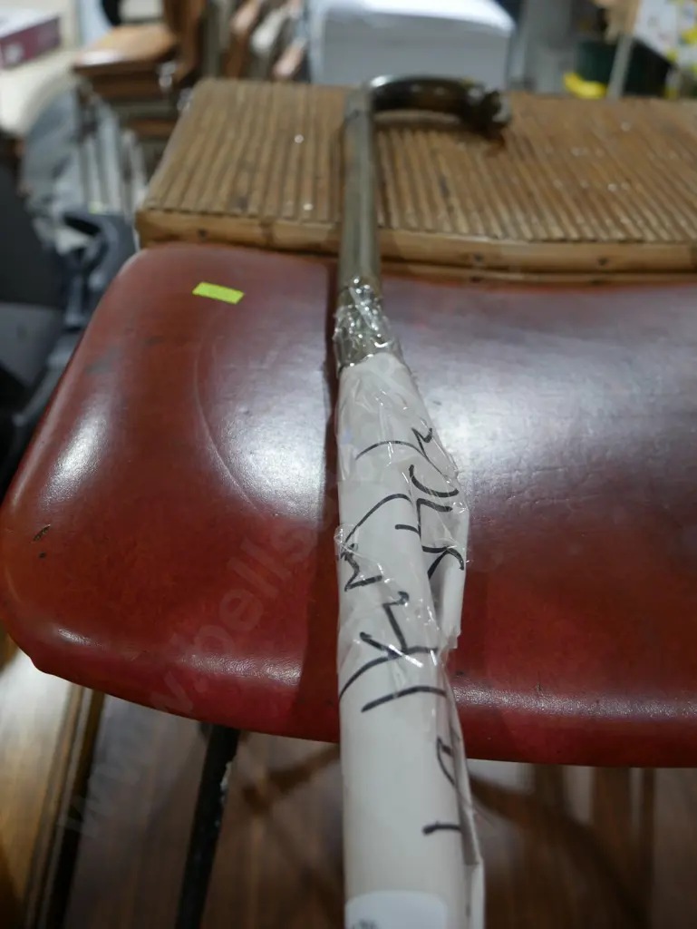 Walking stick Image 1++