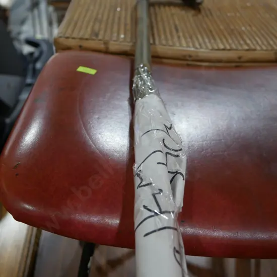 Walking stick