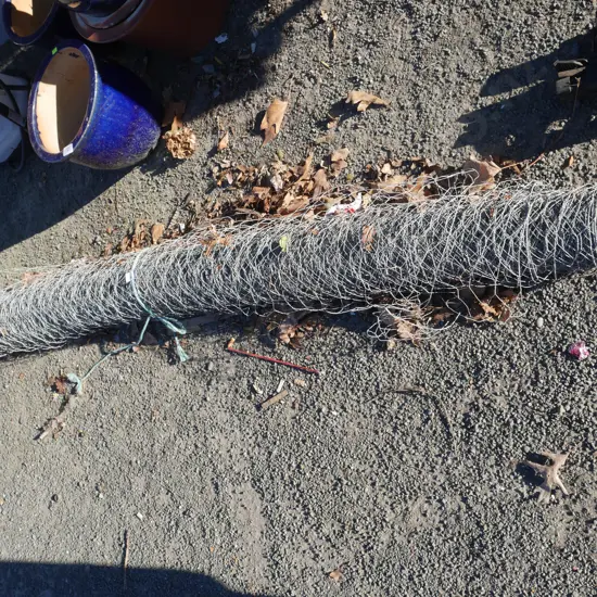 Chicken wire