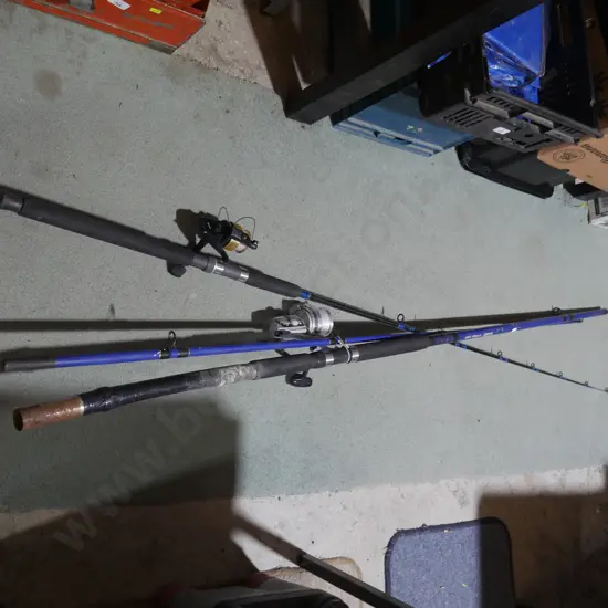 2 fishing rods