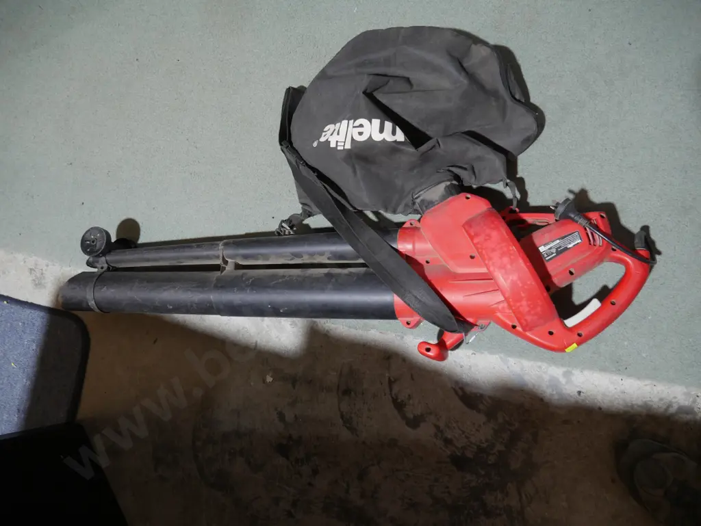 Electric leaf blower Image 1++
