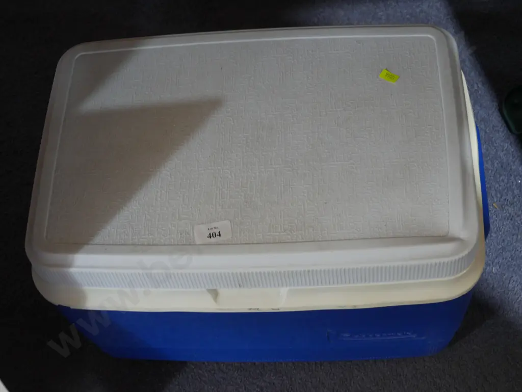 Chilly bin Image 1++