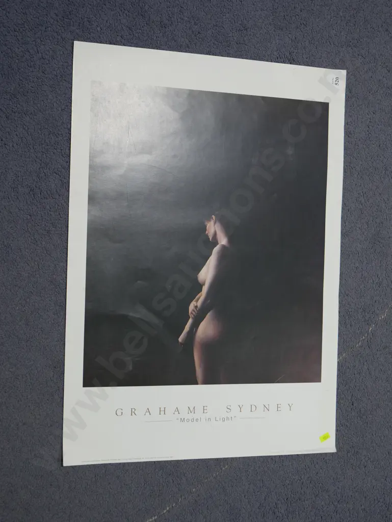 Graham Sydney unframed print model in light Image 1++