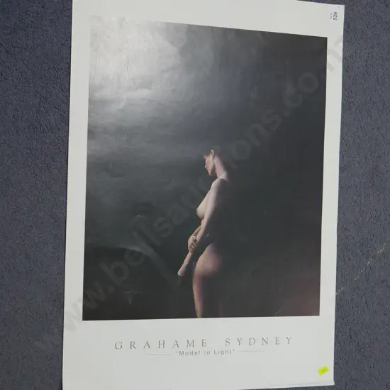 Graham Sydney unframed print model in light