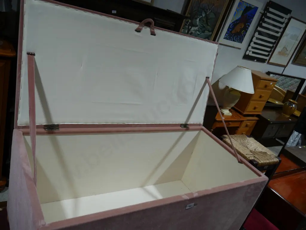 Upholstered trunk Image 1++
