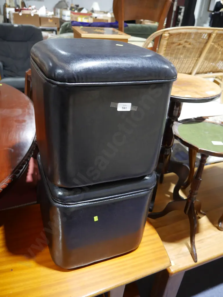 Storage puffs Image 1++