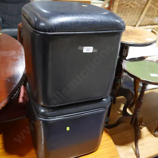 Storage puffs