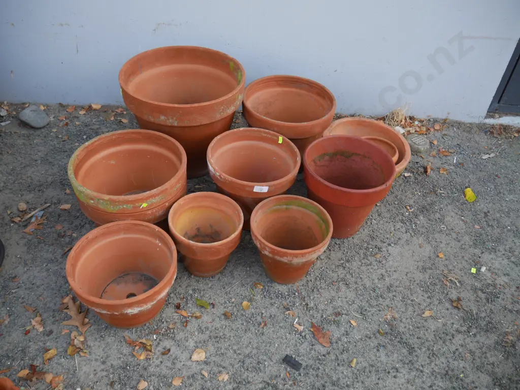 Assorted terracotta plant pots Image 1++