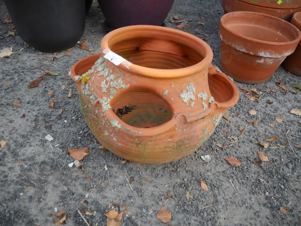 Terracotta strawberry pot Image 1++