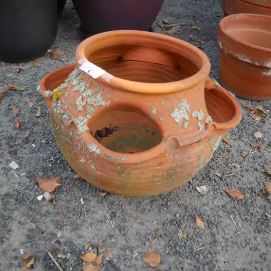 Terracotta strawberry pot