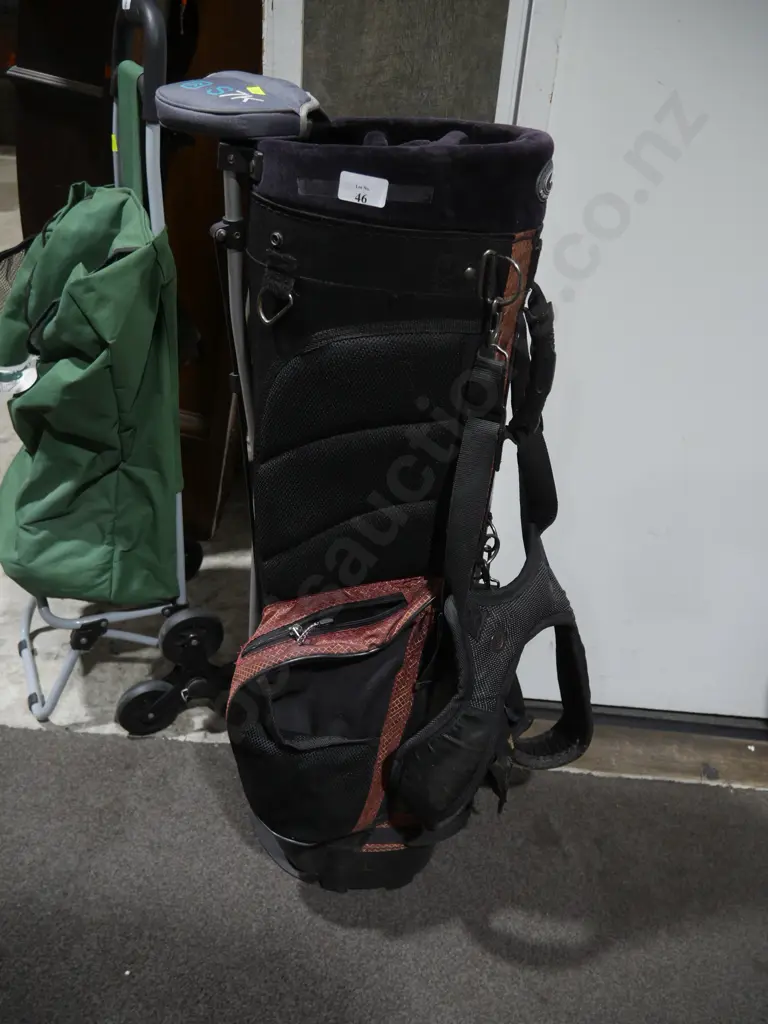 Golf bag and club Image 1++