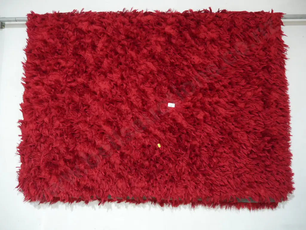 Red floor rug Image 1++