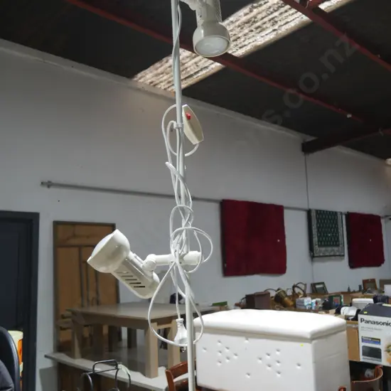 Standard lamp