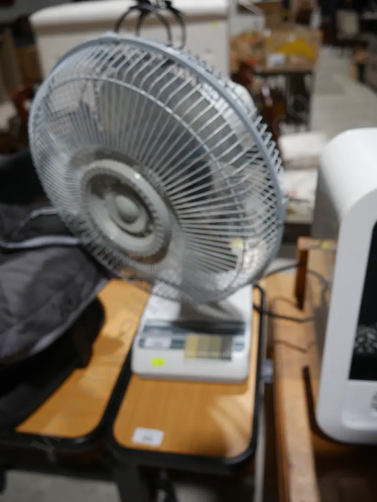 Mistral fan Image 1++