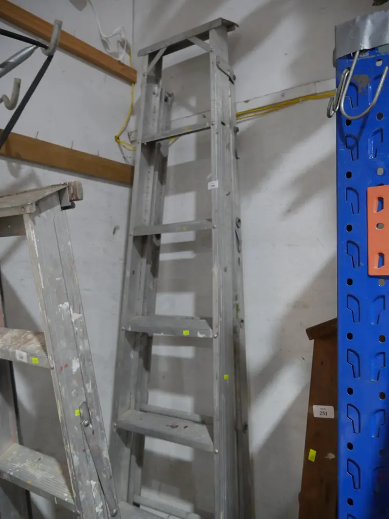 Aluminium extension ladder Image 1++