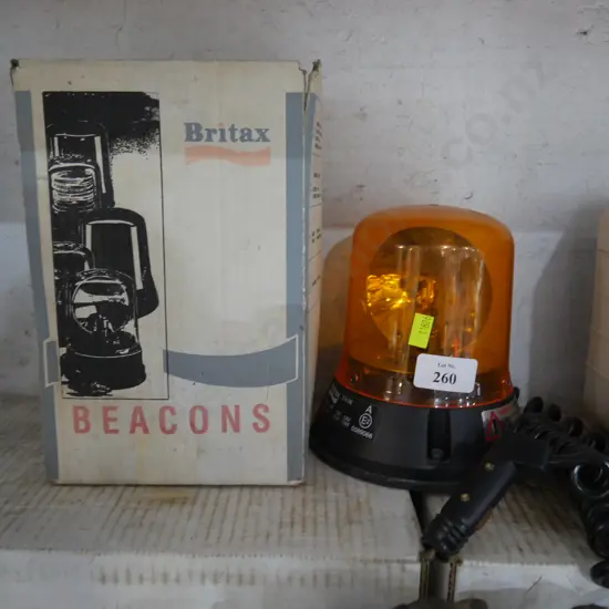Plug and flashing light