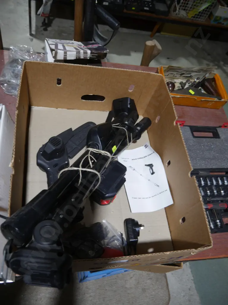 Cordless pole chainsaw Image 1++