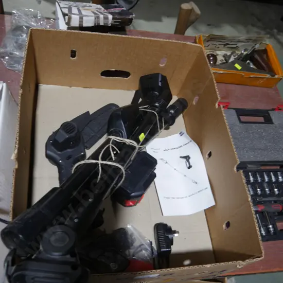 Cordless pole chainsaw
