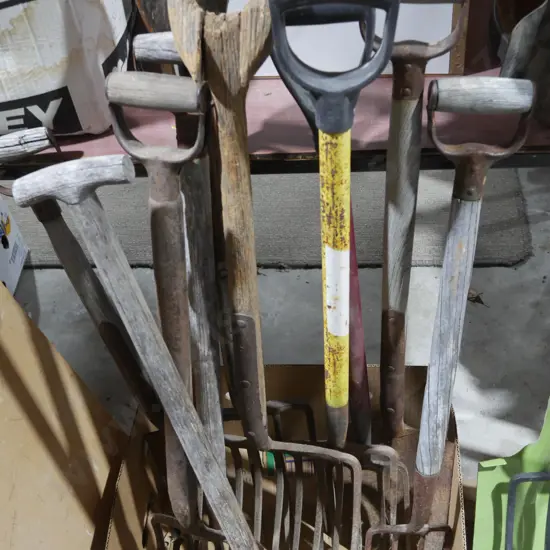 Assorted garden tools